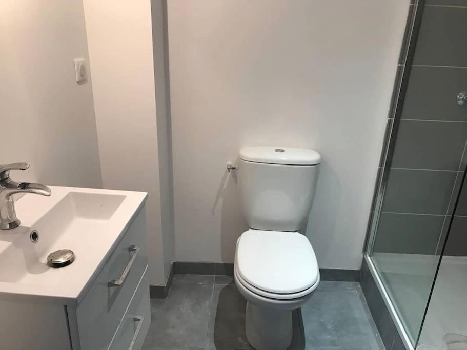 Appartement 10 pers face gare SNCF Appart Hotel le Cygne A Bourges Esterno foto